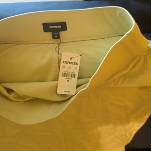Express Soft Green Casual Skirt XS